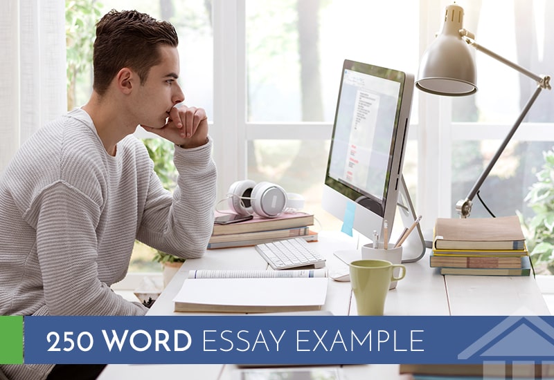 250 word essay sample